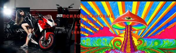 сатива Белоозёрский